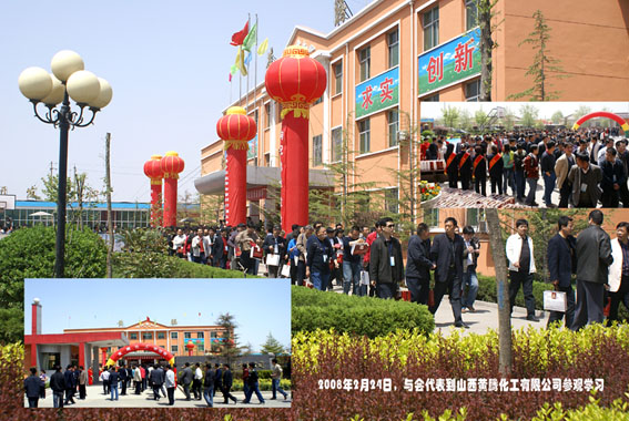 少妇AAA级久久久无码精品片