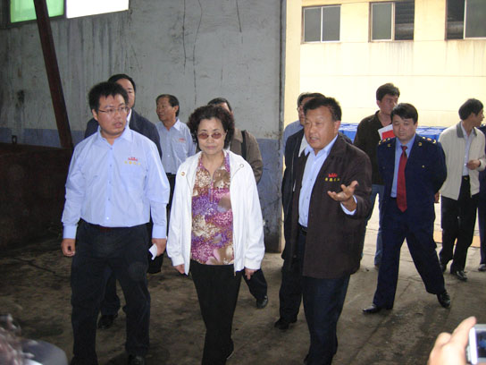 少妇AAA级久久久无码精品片