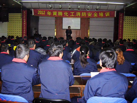 少妇AAA级久久久无码精品片