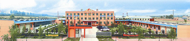 少妇AAA级久久久无码精品片