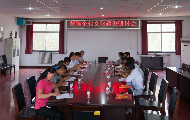 少妇AAA级久久久无码精品片