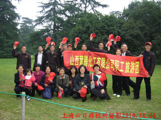 少妇AAA级久久久无码精品片