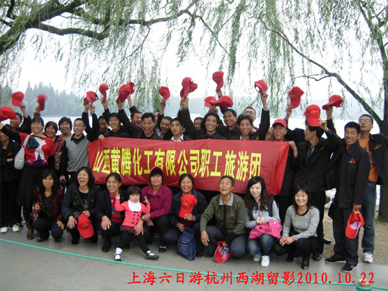 少妇AAA级久久久无码精品片