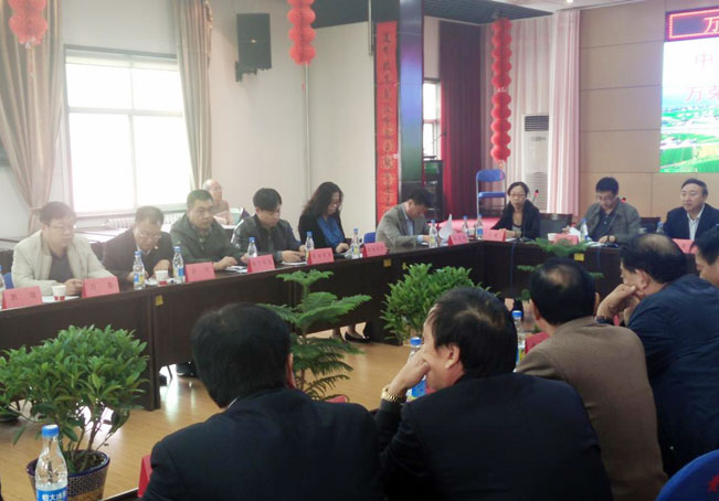 少妇AAA级久久久无码精品片