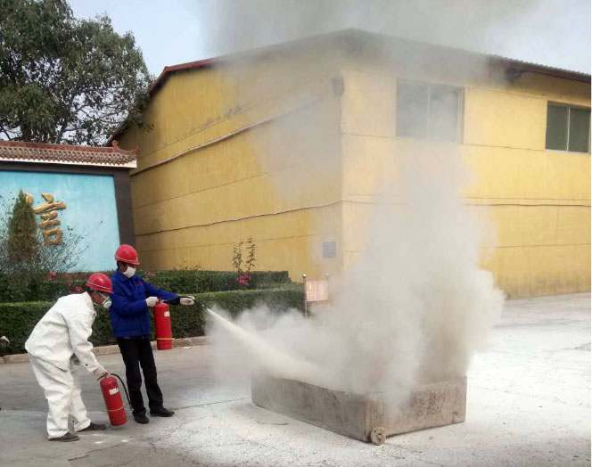 少妇AAA级久久久无码精品片