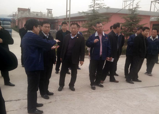 少妇AAA级久久久无码精品片