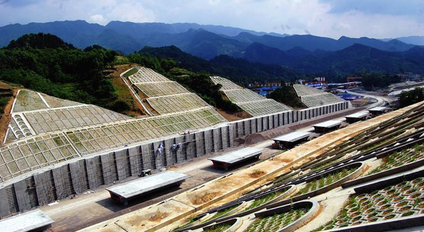 少妇AAA级久久久无码精品片