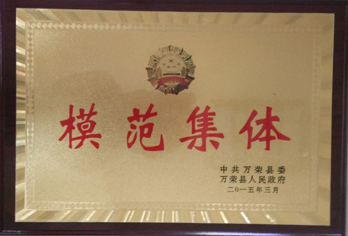 少妇AAA级久久久无码精品片