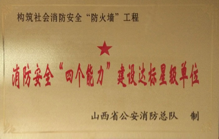 少妇AAA级久久久无码精品片