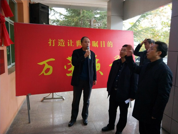 少妇AAA级久久久无码精品片