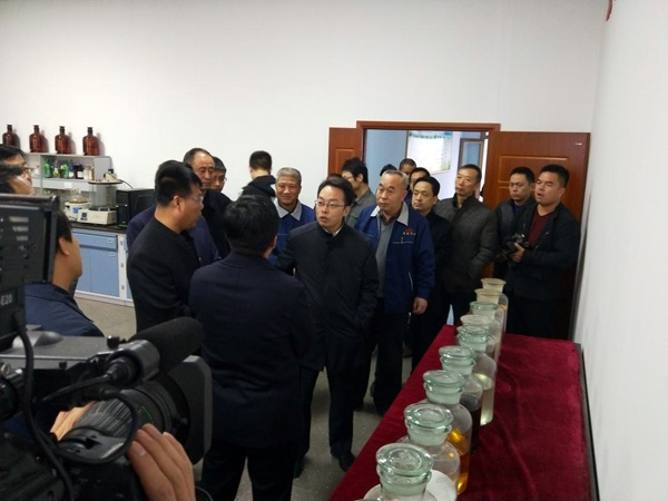 少妇AAA级久久久无码精品片