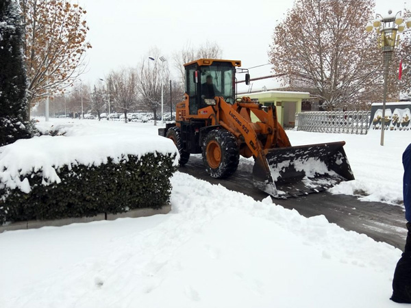 少妇AAA级久久久无码精品片