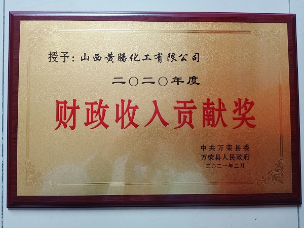 2020年财政收入贡献奖.jpg